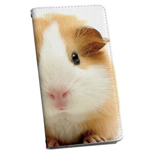 Google Pixel 9a P[X Jo[ 蒠^ }Olbg s^bƕ܂ U[P[X pixel9a J[h[ |Pbg igcase 006036 ʐ^@@nX^[