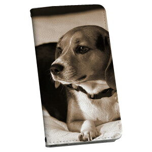 iPhone12 6.1C` p eLA iPhone 12 / iPhone12 Pro ʑΉ p P[X Jo[ 蒠^ }Olbg s^bƕ܂ U[P[X J[h[ |Pbg igcase 008194 ʐ^@ZsA@