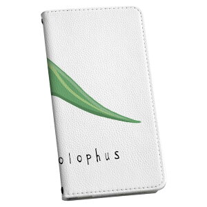 iPhone6 iphone 6/7/8 ���ʑΉ� �A�C�t�H�[�� ��p �P�[�X �J�o�[ �蒠�^ �}�O�l�b�g�� �s�^�b�ƕ܂� ���U�[�P�[�X iphone6 �J�[�h���[ �|�P�b�g igcase 017697 ���� �p���T�E�����t�X�@Parasaurolophus�@��