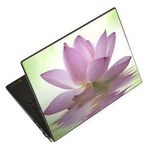 m[gp\R XLV[ 17C`܂őΉ ėpXebJ[ 2Zbg LAVIEp FMVp LIFEBOOKp Dynabookp Lenovop Thinkbookp IdeaPadp HPp Pavillonp ENVYp Elitep Dellp Vostrop Inspironp VAIOp 000147 
