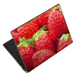 �m�[�g�p�\�R�� �X�L���V�[�� �X�e�b�J�[ �\��2���Z�b�g �\���e1���Z�b�g �ǂ��炩�I�ׂ� NEC LAVIE�p N1515 N1530 N1535 N1555 N1565 N1570 N1573 N1575 N1585 N153C N156D N157C LAVIE Smart N15 LAVIE Direct N15