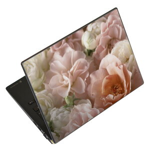 �m�[�g�p�\�R�� �X�L���V�[�� 17�C���`�܂őΉ� �ėp�X�e�b�J�[ 2���Z�b�g LAVIE�p FMV�p LIFEBOOK�p Dynabook�p Lenovo�p Thinkbook�p IdeaPad�p HP�p Pavillon�p ENVY�p Elite�p Dell�p Vostro�p Inspiron�p VAIO�p 000851 