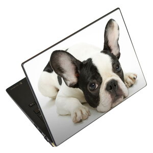 m[gp\R XLV[ XebJ[ \2Zbg \e1Zbg ǂ炩Iׂ NEC LAVIEp N1515 N1530 N1535 N1555 N1565 N1570 N1573 N1575 N1585 N153C N156D N157C LAVIE Smart N15 LAVIE Direct N15