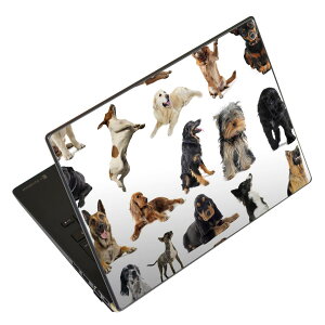 �m�[�g�p�\�R�� �X�L���V�[�� 17�C���`�܂őΉ� �ėp�X�e�b�J�[ 2���Z�b�g LAVIE�p FMV�p LIFEBOOK�p Dynabook�p Lenovo�p Thinkbook�p IdeaPad�p HP�p Pavillon�p ENVY�p Elite�p Dell�p Vostro�p Inspiron�p VAIO�p 000911 