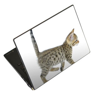 m[gp\R XLV[ 13.3C`܂őΉ ėpXebJ[ 2Zbg LAVIEp FMVp LIFEBOOKp Dynabookp Lenovop Thinkbookp IdeaPadp HPp Pavillonp ENVYp Elitep Dellp Vostrop Inspironp VAIOp 000915