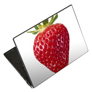 m[gp\R XLV[ 13.3C`܂őΉ ėpXebJ[ 2Zbg LAVIEp FMVp LIFEBOOKp Dynabookp Lenovop Thinkbookp IdeaPadp HPp Pavillonp ENVYp Elitep Dellp Vostrop Inspironp VAIOp 000919