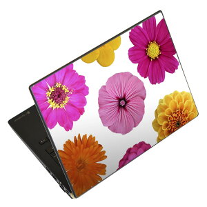 m[gp\R XLV[ 17C`܂őΉ ėpXebJ[ 2Zbg LAVIEp FMVp LIFEBOOKp Dynabookp Lenovop Thinkbookp IdeaPadp HPp Pavillonp ENVYp Elitep Dellp Vostrop Inspironp VAIOp 000945 