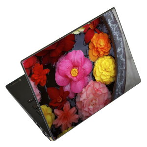 �m�[�g�p�\�R�� �X�L���V�[�� 17�C���`�܂őΉ� �ėp�X�e�b�J�[ 2���Z�b�g LAVIE�p FMV�p LIFEBOOK�p Dynabook�p Lenovo�p Thinkbook�p IdeaPad�p HP�p Pavillon�p ENVY�p Elite�p Dell�p Vostro�p Inspiron�p VAIO�p 000953 