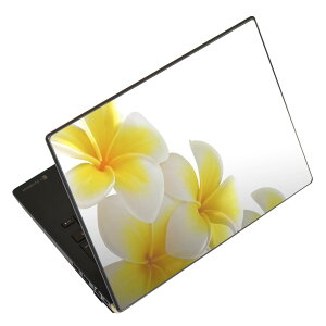 m[gp\R XLV[ XebJ[ \2Zbg \e1Zbg ǂ炩Iׂ NEC LAVIEp N1515 N1530 N1535 N1555 N1565 N1570 N1573 N1575 N1585 N153C N156D N157C LAVIE Smart N15 LAVIE Direct N15