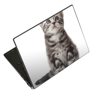 �m�[�g�p�\�R�� �X�L���V�[�� 17�C���`�܂őΉ� �ėp�X�e�b�J�[ 2���Z�b�g LAVIE�p FMV�p LIFEBOOK�p Dynabook�p Lenovo�p Thinkbook�p IdeaPad�p HP�p Pavillon�p ENVY�p Elite�p Dell�p Vostro�p Inspiron�p VAIO�p 001070 