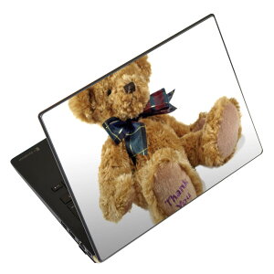 �m�[�g�p�\�R�� �X�L���V�[�� 13.3�C���`�܂őΉ� �ėp�X�e�b�J�[ 2���Z�b�g LAVIE�p FMV�p LIFEBOOK�p Dynabook�p Lenovo�p Thinkbook�p IdeaPad�p HP�p Pavillon�p ENVY�p Elite�p Dell�p Vostro�p Inspiron�p VAIO�p 001105
