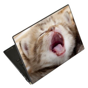m[gp\R XLV[ 13.3C`܂őΉ ėpXebJ[ 2Zbg LAVIEp FMVp LIFEBOOKp Dynabookp Lenovop Thinkbookp IdeaPadp HPp Pavillonp ENVYp Elitep Dellp Vostrop Inspironp VAIOp 001173