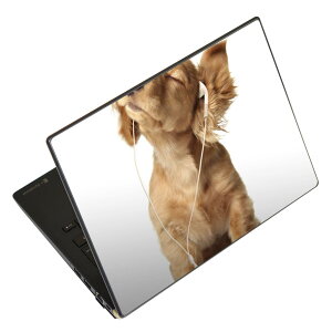 m[gp\R XLV[ 13.3C`܂őΉ ėpXebJ[ 2Zbg LAVIEp FMVp LIFEBOOKp Dynabookp Lenovop Thinkbookp IdeaPadp HPp Pavillonp ENVYp Elitep Dellp Vostrop Inspironp VAIOp 001245