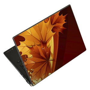 �m�[�g�p�\�R�� �X�L���V�[�� 13.3�C���`�܂őΉ� �ėp�X�e�b�J�[ 2���Z�b�g LAVIE�p FMV�p LIFEBOOK�p Dynabook�p Lenovo�p Thinkbook�p IdeaPad�p HP�p Pavillon�p ENVY�p Elite�p Dell�p Vostro�p Inspiron�p VAIO�p 001252