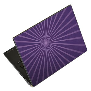 �m�[�g�p�\�R�� �X�L���V�[�� 13.3�C���`�܂őΉ� �ėp�X�e�b�J�[ 2���Z�b�g LAVIE�p FMV�p LIFEBOOK�p Dynabook�p Lenovo�p Thinkbook�p IdeaPad�p HP�p Pavillon�p ENVY�p Elite�p Dell�p Vostro�p Inspiron�p VAIO�p 002025