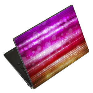 �m�[�g�p�\�R�� �X�L���V�[�� 13.3�C���`�܂őΉ� �ėp�X�e�b�J�[ 2���Z�b�g LAVIE�p FMV�p LIFEBOOK�p Dynabook�p Lenovo�p Thinkbook�p IdeaPad�p HP�p Pavillon�p ENVY�p Elite�p Dell�p Vostro�p Inspiron�p VAIO�p 002109