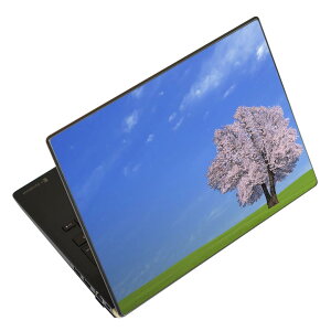 m[gp\R XLV[ 17C`܂őΉ ėpXebJ[ 2Zbg LAVIEp FMVp LIFEBOOKp Dynabookp Lenovop Thinkbookp IdeaPadp HPp Pavillonp ENVYp Elitep Dellp Vostrop Inspironp VAIOp 002466 