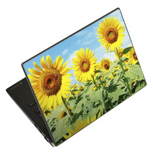 �m�[�g�p�\�R�� �X�L���V�[�� 13.3�C���`�܂őΉ� �ėp�X�e�b�J�[ 2���Z�b�g LAVIE�p FMV�p LIFEBOOK�p Dynabook�p Lenovo�p Thinkbook�p IdeaPad�p HP�p Pavillon�p ENVY�p Elite�p Dell�p Vostro�p Inspiron�p VAIO�p 002501