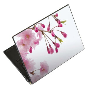 m[gp\R XLV[ 13.3C`܂őΉ ėpXebJ[ 2Zbg LAVIEp FMVp LIFEBOOKp Dynabookp Lenovop Thinkbookp IdeaPadp HPp Pavillonp ENVYp Elitep Dellp Vostrop Inspironp VAIOp 002620