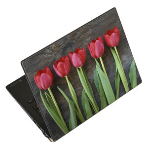 �m�[�g�p�\�R�� �X�L���V�[�� 17�C���`�܂őΉ� �ėp�X�e�b�J�[ 2���Z�b�g LAVIE�p FMV�p LIFEBOOK�p Dynabook�p Lenovo�p Thinkbook�p IdeaPad�p HP�p Pavillon�p ENVY�p Elite�p Dell�p Vostro�p Inspiron�p VAIO�p 002731 