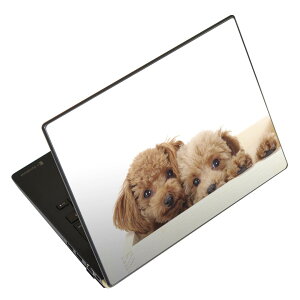 m[gp\R XLV[ XebJ[ \2Zbg \e1Zbg ǂ炩Iׂ NEC LAVIEp N1515 N1530 N1535 N1555 N1565 N1570 N1573 N1575 N1585 N153C N156D N157C LAVIE Smart N15 LAVIE Direct N15