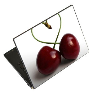 �m�[�g�p�\�R�� �X�L���V�[�� 13.3�C���`�܂őΉ� �ėp�X�e�b�J�[ 2���Z�b�g LAVIE�p FMV�p LIFEBOOK�p Dynabook�p Lenovo�p Thinkbook�p IdeaPad�p HP�p Pavillon�p ENVY�p Elite�p Dell�p Vostro�p Inspiron�p VAIO�p 002788