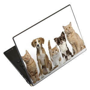 �m�[�g�p�\�R�� �X�L���V�[�� 17�C���`�܂őΉ� �ėp�X�e�b�J�[ 2���Z�b�g LAVIE�p FMV�p LIFEBOOK�p Dynabook�p Lenovo�p Thinkbook�p IdeaPad�p HP�p Pavillon�p ENVY�p Elite�p Dell�p Vostro�p Inspiron�p VAIO�p 002789 