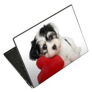 m[gp\R XLV[ XebJ[ \2Zbg \e1Zbg ǂ炩Iׂ NEC LAVIEp N1515 N1530 N1535 N1555 N1565 N1570 N1573 N1575 N1585 N153C N156D N157C LAVIE Smart N15 LAVIE Direct N15