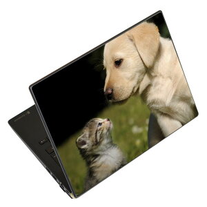 �m�[�g�p�\�R�� �X�L���V�[�� 17�C���`�܂őΉ� �ėp�X�e�b�J�[ 2���Z�b�g LAVIE�p FMV�p LIFEBOOK�p Dynabook�p Lenovo�p Thinkbook�p IdeaPad�p HP�p Pavillon�p ENVY�p Elite�p Dell�p Vostro�p Inspiron�p VAIO�p 002794 