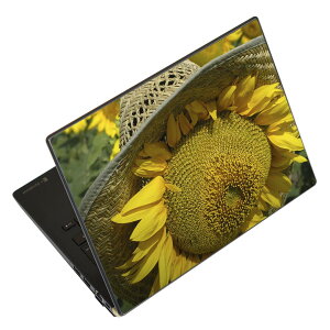 �m�[�g�p�\�R�� �X�L���V�[�� 17�C���`�܂őΉ� �ėp�X�e�b�J�[ 2���Z�b�g LAVIE�p FMV�p LIFEBOOK�p Dynabook�p Lenovo�p Thinkbook�p IdeaPad�p HP�p Pavillon�p ENVY�p Elite�p Dell�p Vostro�p Inspiron�p VAIO�p 002800 