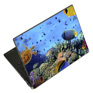 �m�[�g�p�\�R�� �X�L���V�[�� 13.3�C���`�܂őΉ� �ėp�X�e�b�J�[ 2���Z�b�g LAVIE�p FMV�p LIFEBOOK�p Dynabook�p Lenovo�p Thinkbook�p IdeaPad�p HP�p Pavillon�p ENVY�p Elite�p Dell�p Vostro�p Inspiron�p VAIO�p 002823