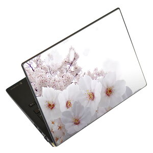 �m�[�g�p�\�R�� �X�L���V�[�� 13.3�C���`�܂őΉ� �ėp�X�e�b�J�[ 2���Z�b�g LAVIE�p FMV�p LIFEBOOK�p Dynabook�p Lenovo�p Thinkbook�p IdeaPad�p HP�p Pavillon�p ENVY�p Elite�p Dell�p Vostro�p Inspiron�p VAIO�p 002860