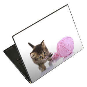 m[gp\R XLV[ XebJ[ \2Zbg \e1Zbg ǂ炩Iׂ NEC LAVIEp N1515 N1530 N1535 N1555 N1565 N1570 N1573 N1575 N1585 N153C N156D N157C LAVIE Smart N15 LAVIE Direct N15