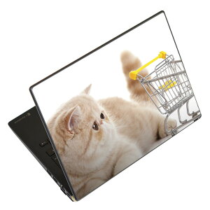 m[gp\R XLV[ XebJ[ \2Zbg \e1Zbg ǂ炩Iׂ NEC LAVIEp N1515 N1530 N1535 N1555 N1565 N1570 N1573 N1575 N1585 N153C N156D N157C LAVIE Smart N15 LAVIE Direct N15