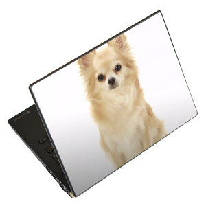 m[gp\R XLV[ 13.3C`܂őΉ ėpXebJ[ 2Zbg LAVIEp FMVp LIFEBOOKp Dynabookp Lenovop Thinkbookp IdeaPadp HPp Pavillonp ENVYp Elitep Dellp Vostrop Inspironp VAIOp 002914