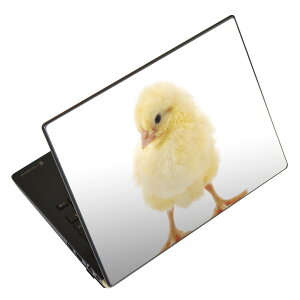 �m�[�g�p�\�R�� �X�L���V�[�� 17�C���`�܂őΉ� �ėp�X�e�b�J�[ 2���Z�b�g LAVIE�p FMV�p LIFEBOOK�p Dynabook�p Lenovo�p Thinkbook�p IdeaPad�p HP�p Pavillon�p ENVY�p Elite�p Dell�p Vostro�p Inspiron�p VAIO�p 002923 
