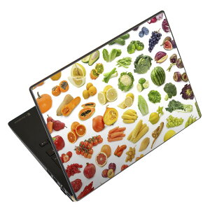 m[gp\R XLV[ 17C`܂őΉ ėpXebJ[ 2Zbg LAVIEp FMVp LIFEBOOKp Dynabookp Lenovop Thinkbookp IdeaPadp HPp Pavillonp ENVYp Elitep Dellp Vostrop Inspironp VAIOp 003408 