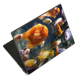 m[gp\R XLV[ 17C`܂őΉ ėpXebJ[ 2Zbg LAVIEp FMVp LIFEBOOKp Dynabookp Lenovop Thinkbookp IdeaPadp HPp Pavillonp ENVYp Elitep Dellp Vostrop Inspironp VAIOp 003538 