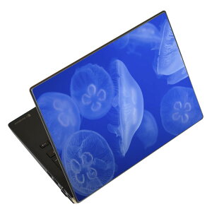 m[gp\R XLV[ 17C`܂őΉ ėpXebJ[ 2Zbg LAVIEp FMVp LIFEBOOKp Dynabookp Lenovop Thinkbookp IdeaPadp HPp Pavillonp ENVYp Elitep Dellp Vostrop Inspironp VAIOp 003560 