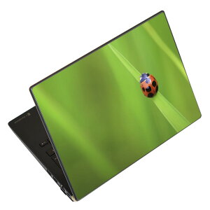 �m�[�g�p�\�R�� �X�L���V�[�� 13.3�C���`�܂őΉ� �ėp�X�e�b�J�[ 2���Z�b�g LAVIE�p FMV�p LIFEBOOK�p Dynabook�p Lenovo�p Thinkbook�p IdeaPad�p HP�p Pavillon�p ENVY�p Elite�p Dell�p Vostro�p Inspiron�p VAIO�p 003604