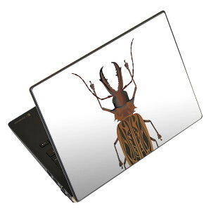 m[gp\R XLV[ 13.3C`܂őΉ ėpXebJ[ 2Zbg LAVIEp FMVp LIFEBOOKp Dynabookp Lenovop Thinkbookp IdeaPadp HPp Pavillonp ENVYp Elitep Dellp Vostrop Inspironp VAIOp 020004