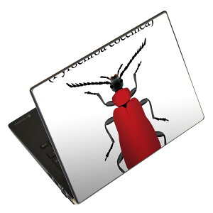 m[gp\R XLV[ 17C`܂őΉ ėpXebJ[ 2Zbg LAVIEp FMVp LIFEBOOKp Dynabookp Lenovop Thinkbookp IdeaPadp HPp Pavillonp ENVYp Elitep Dellp Vostrop Inspironp VAIOp 020016 