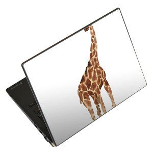 m[gp\R XLV[ 17C`܂őΉ ėpXebJ[ 2Zbg LAVIEp FMVp LIFEBOOKp Dynabookp Lenovop Thinkbookp IdeaPadp HPp Pavillonp ENVYp Elitep Dellp Vostrop Inspironp VAIOp 020027 