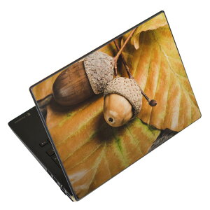 �m�[�g�p�\�R�� �X�L���V�[�� �X�e�b�J�[ �\��2���Z�b�g �\���e1���Z�b�g �ǂ��炩�I�ׂ� NEC LAVIE�p N1515 N1530 N1535 N1555 N1565 N1570 N1573 N1575 N1585 N153C N156D N157C LAVIE Smart N15 LAVIE Direct N15