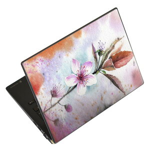 m[gp\R XLV[ XebJ[ \2Zbg \e1Zbg ǂ炩Iׂ NEC LAVIEp N1515 N1530 N1535 N1555 N1565 N1570 N1573 N1575 N1585 N153C N156D N157C LAVIE Smart N15 LAVIE Direct N15