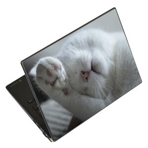 m[gp\R XLV[ 17C`܂őΉ ėpXebJ[ 2Zbg LAVIEp FMVp LIFEBOOKp Dynabookp Lenovop Thinkbookp IdeaPadp HPp Pavillonp ENVYp Elitep Dellp Vostrop Inspironp VAIOp 022860 