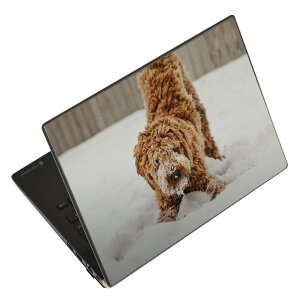 m[gp\R XLV[ XebJ[ \2Zbg \e1Zbg ǂ炩Iׂ NEC LAVIEp N1515 N1530 N1535 N1555 N1565 N1570 N1573 N1575 N1585 N153C N156D N157C LAVIE Smart N15 LAVIE Direct N15