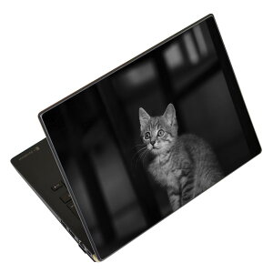 m[gp\R XLV[ XebJ[ \2Zbg \e1Zbg ǂ炩Iׂ NEC LAVIEp N1515 N1530 N1535 N1555 N1565 N1570 N1573 N1575 N1585 N153C N156D N157C LAVIE Smart N15 LAVIE Direct N15