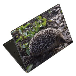 �m�[�g�p�\�R�� �X�L���V�[�� �X�e�b�J�[ �\��2���Z�b�g �\���e1���Z�b�g �ǂ��炩�I�ׂ� NEC LAVIE�p N1515 N1530 N1535 N1555 N1565 N1570 N1573 N1575 N1585 N153C N156D N157C LAVIE Smart N15 LAVIE Direct N15