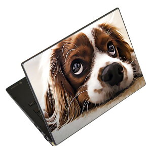 m[gp\R XLV[ XebJ[ \2Zbg \e1Zbg ǂ炩Iׂ NEC LAVIEp N1515 N1530 N1535 N1555 N1565 N1570 N1573 N1575 N1585 N153C N156D N157C LAVIE Smart N15 LAVIE Direct N15